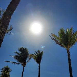 Meet your Posher, Shane